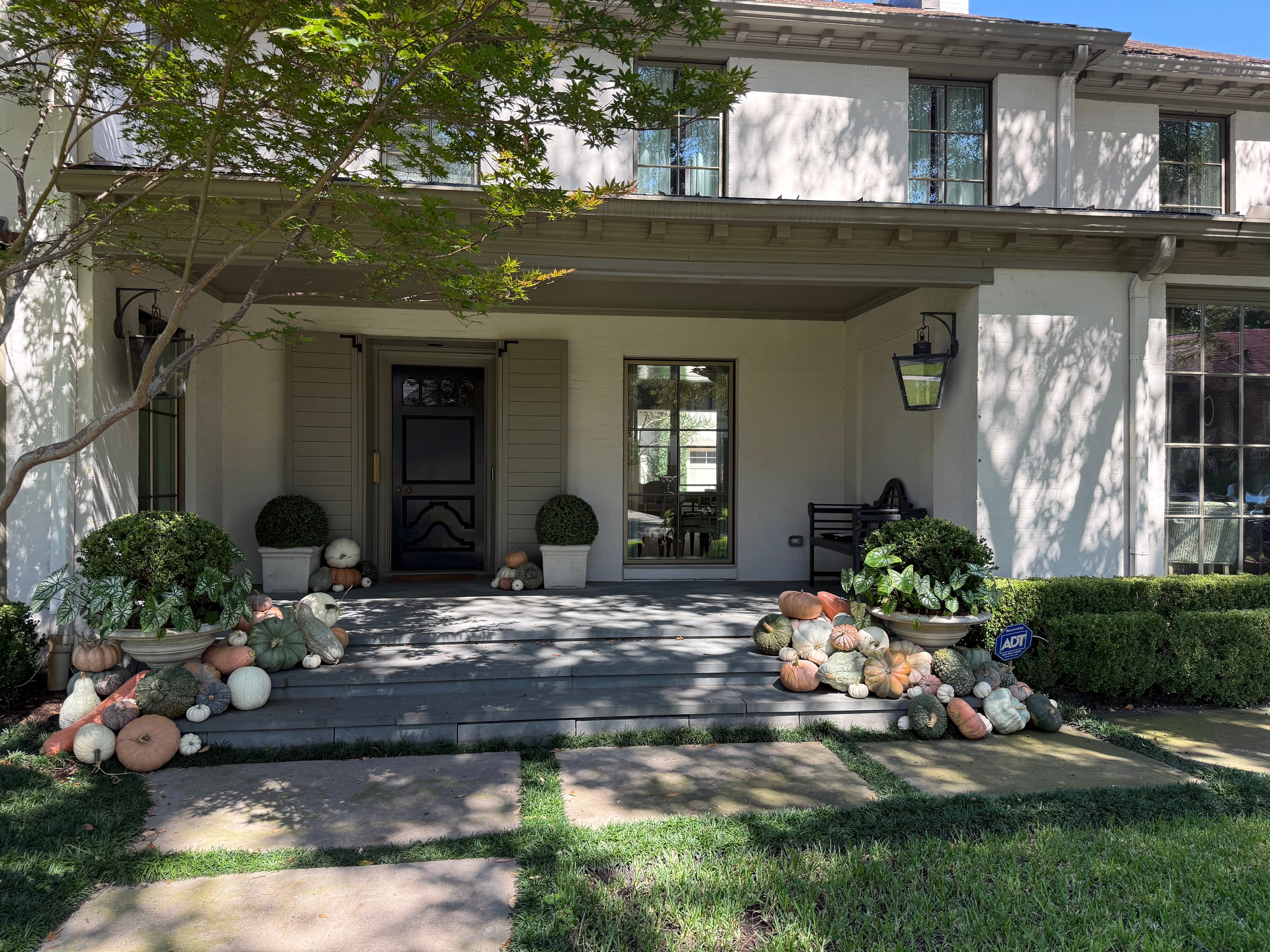 Package E – Specialty Squash Porch Display