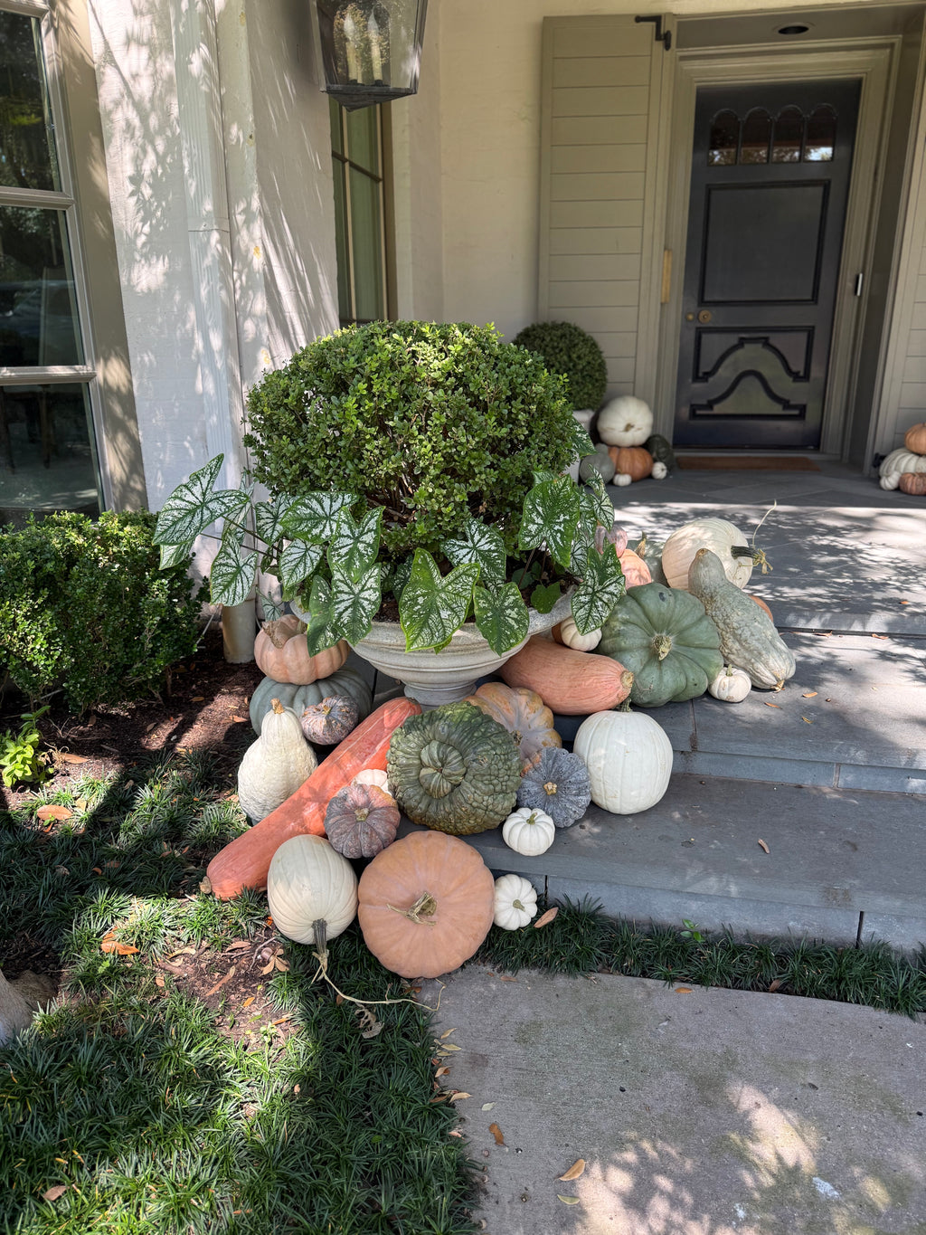 Package E – Specialty Squash Porch Display