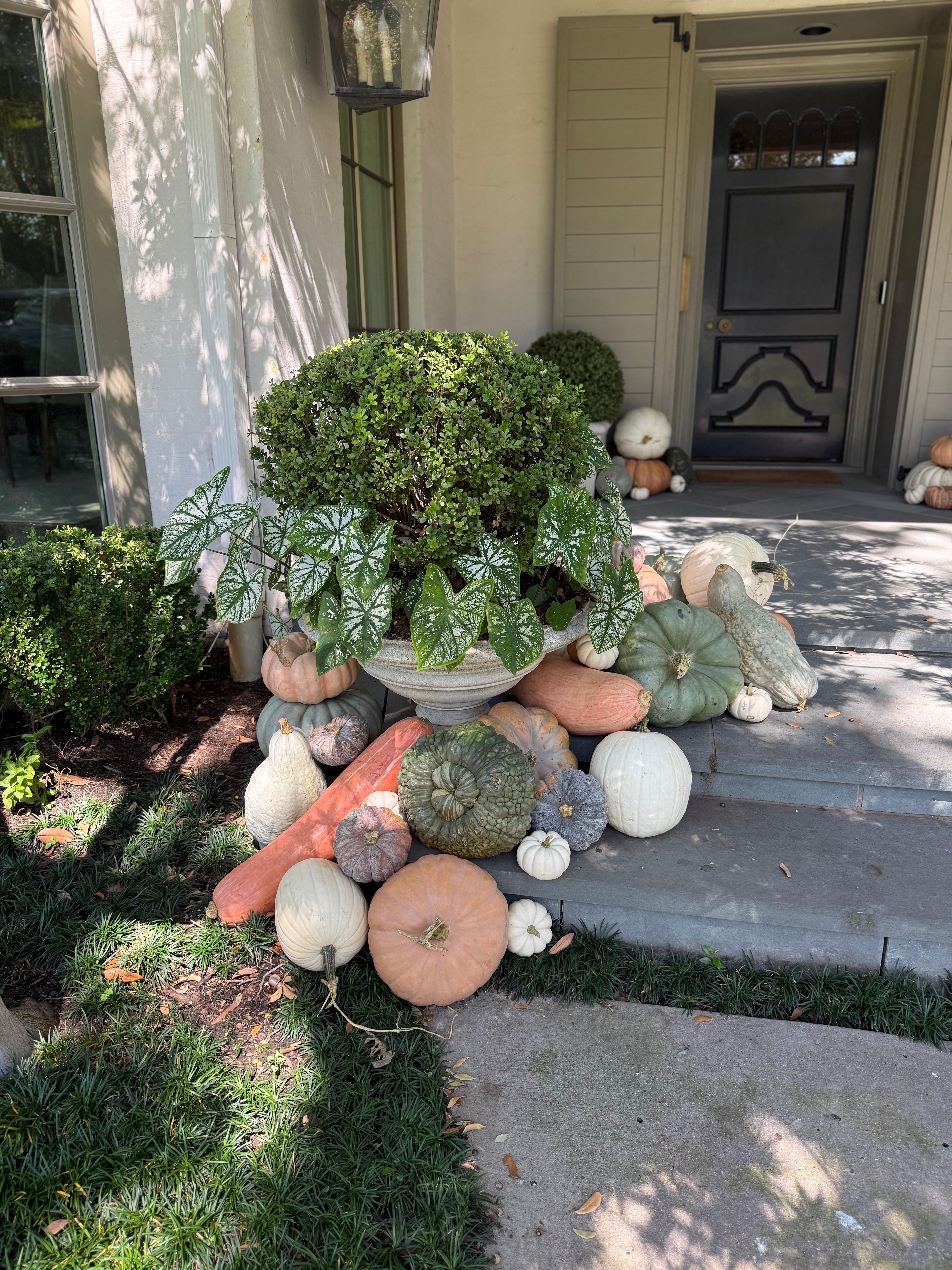 Package E – Specialty Squash Porch Display