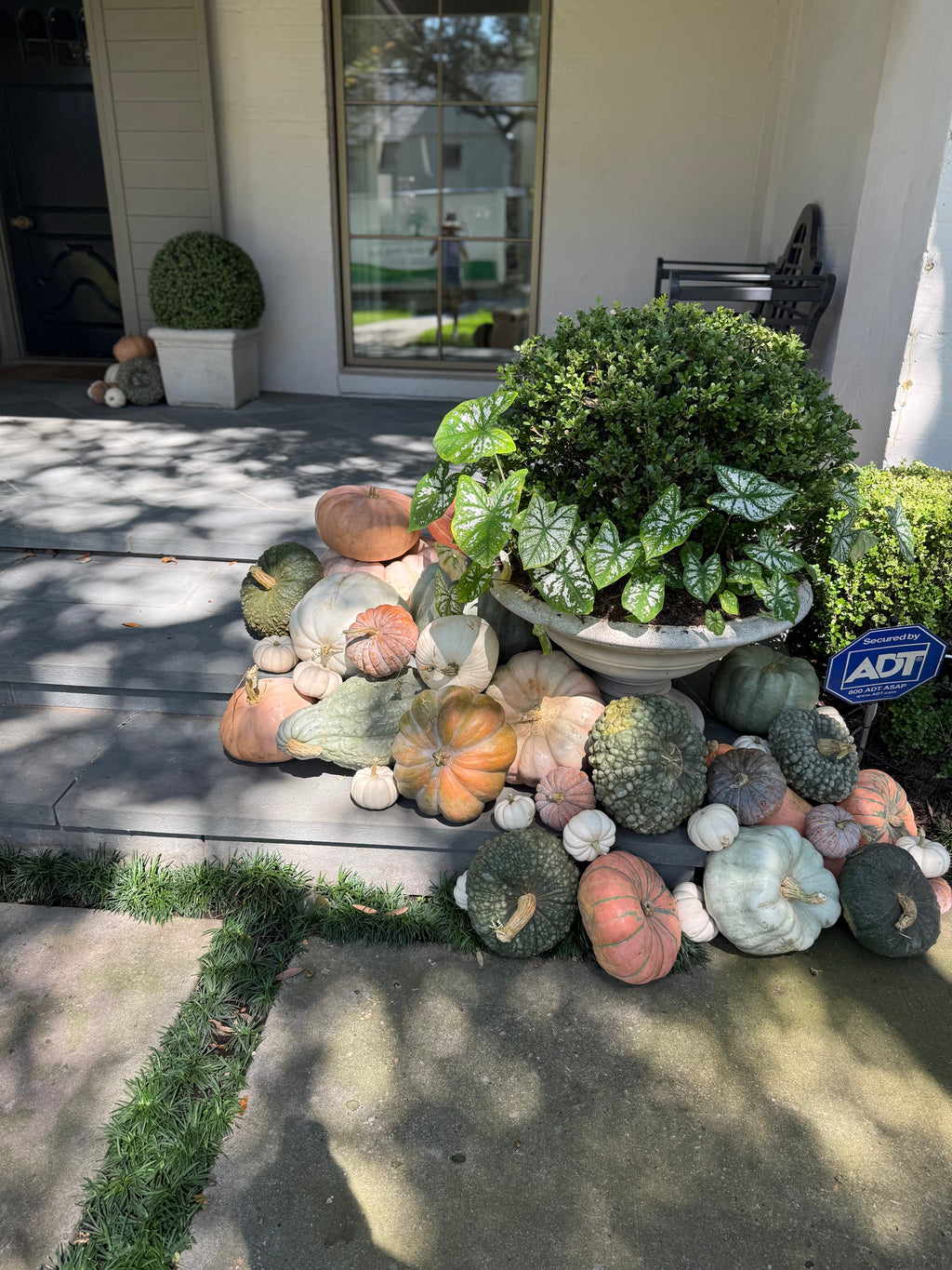 Package E – Specialty Squash Porch Display