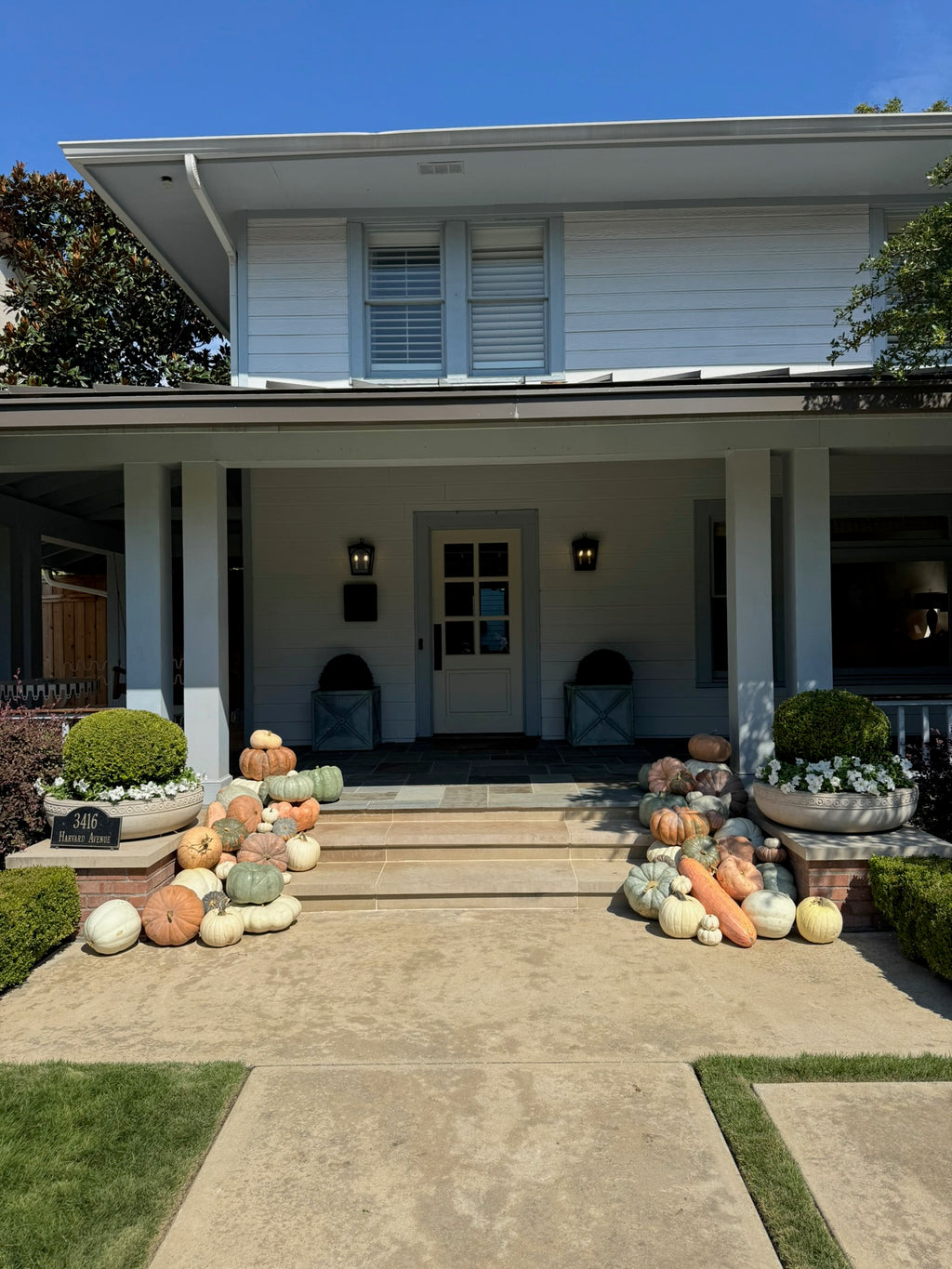 Package E – Specialty Squash Porch Display